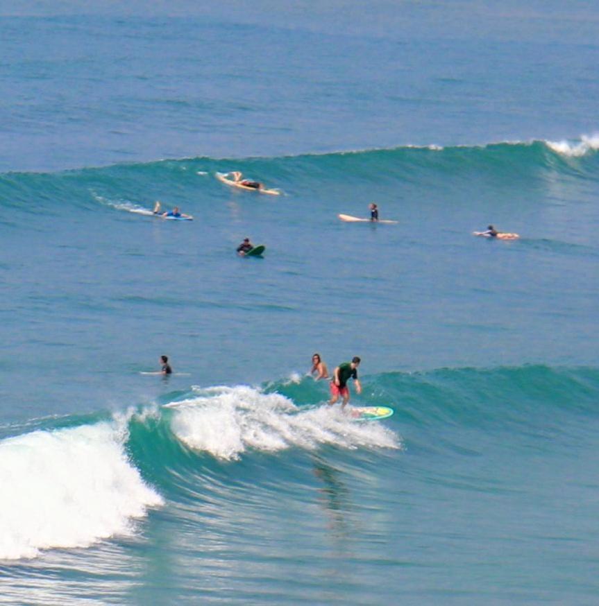 Hostel Wild Surf *