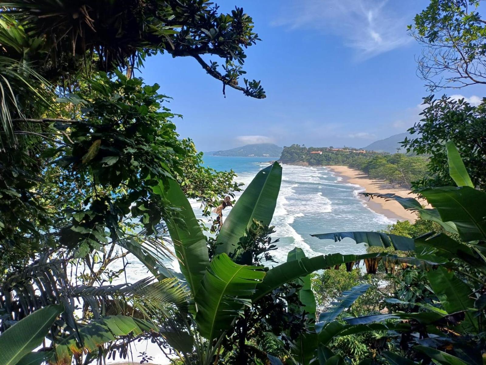 Hostel Wild Surf *