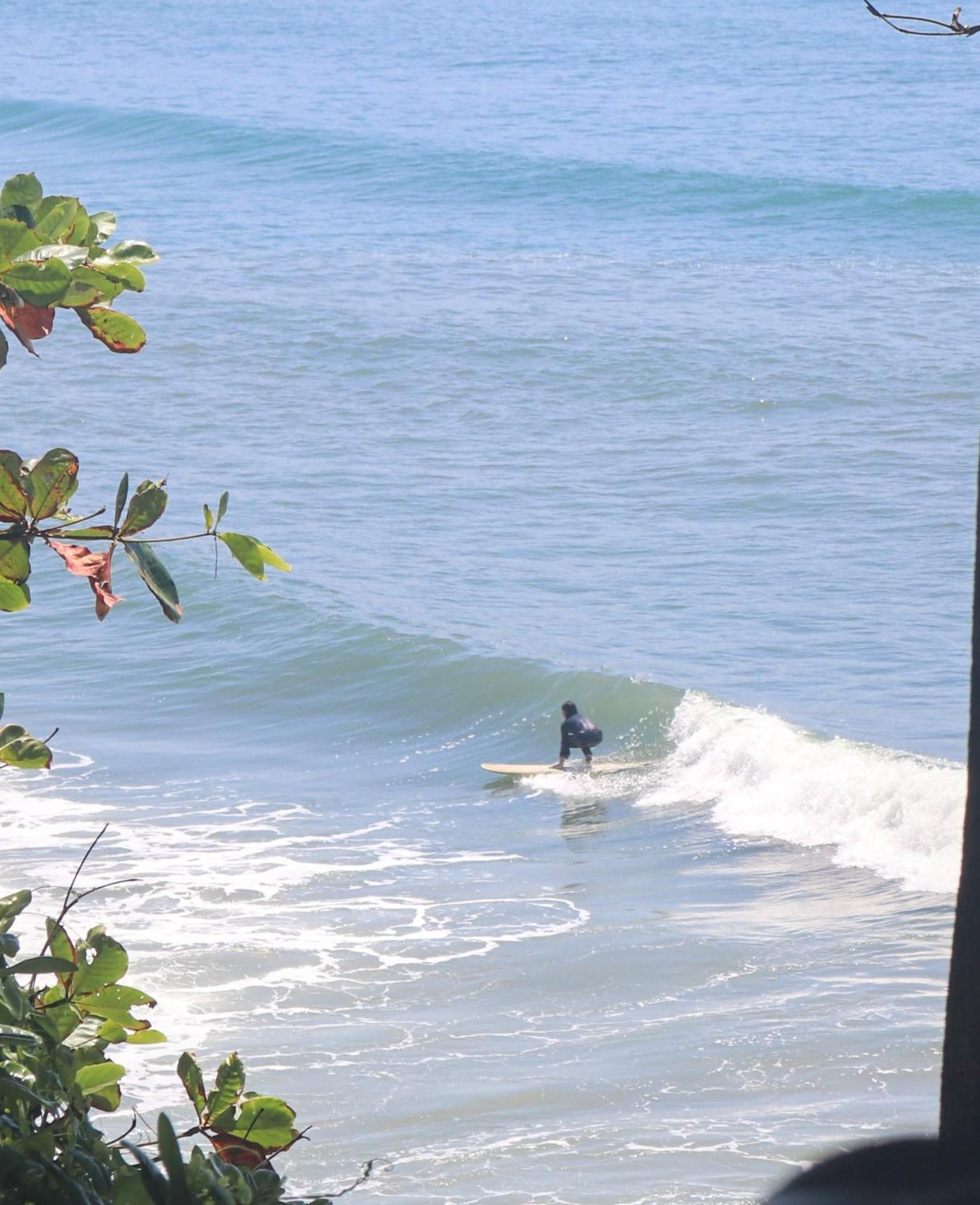 Hostel Wild Surf