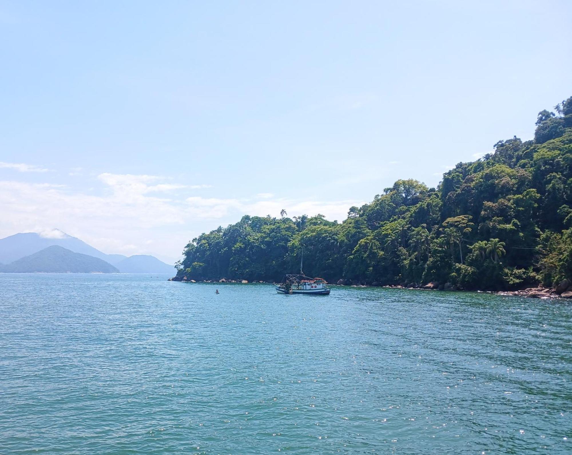 Wild Surf * Ubatuba